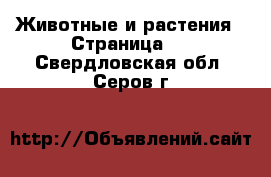  Животные и растения - Страница 2 . Свердловская обл.,Серов г.